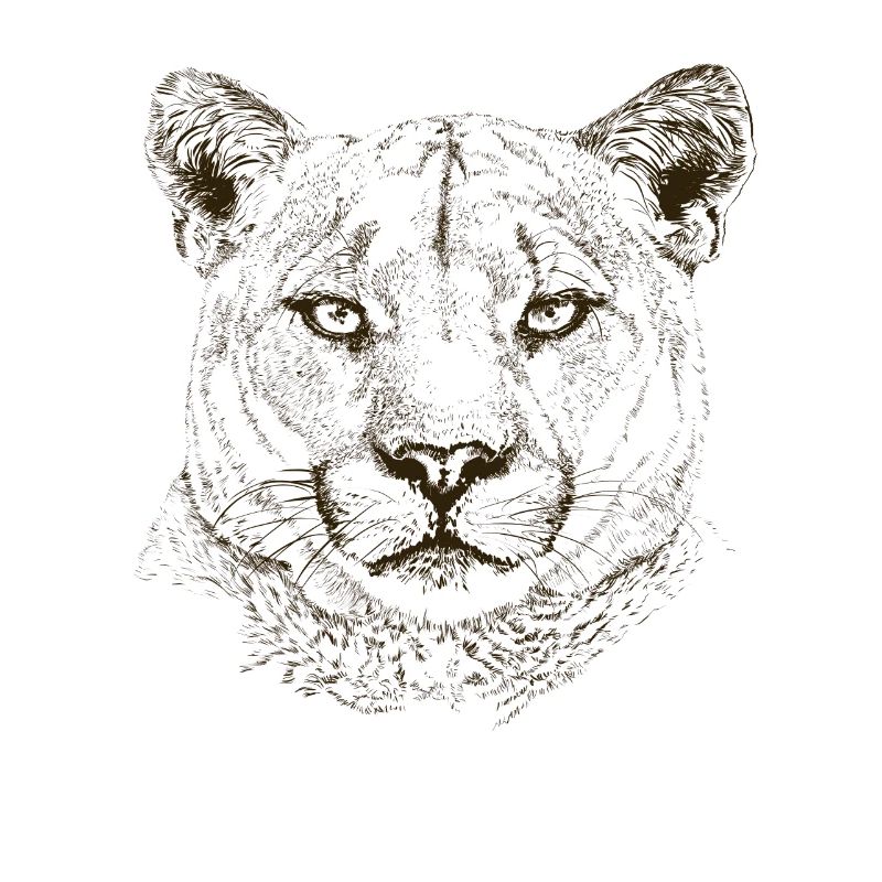 cougar