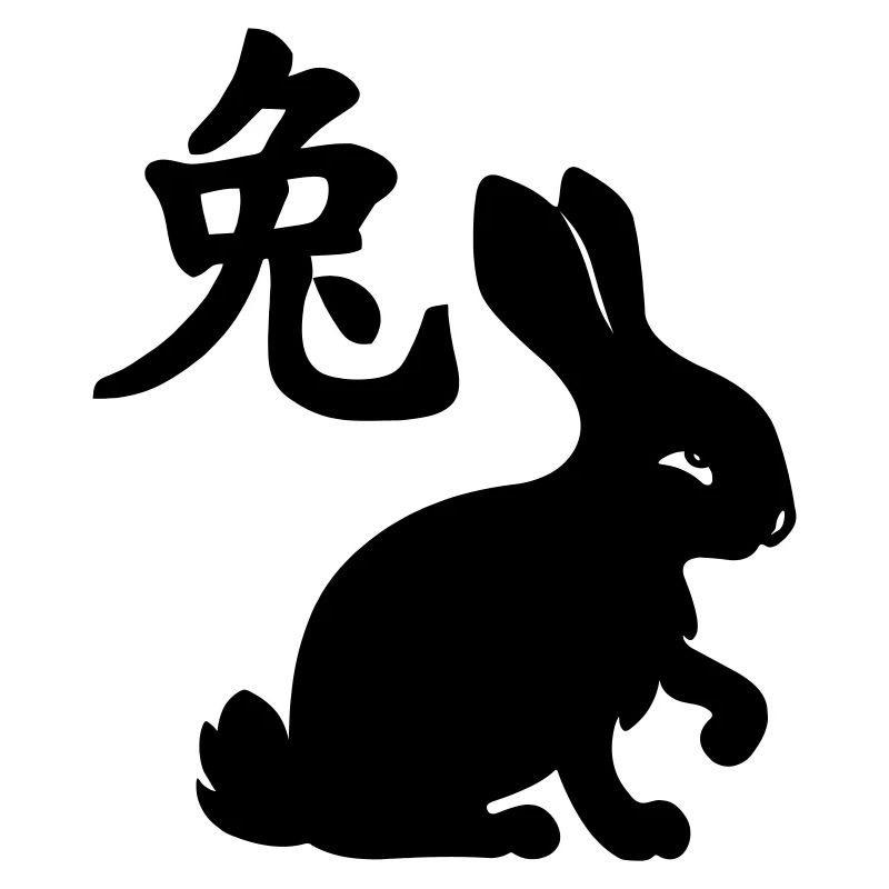Chinese character rabbit with rabbit image