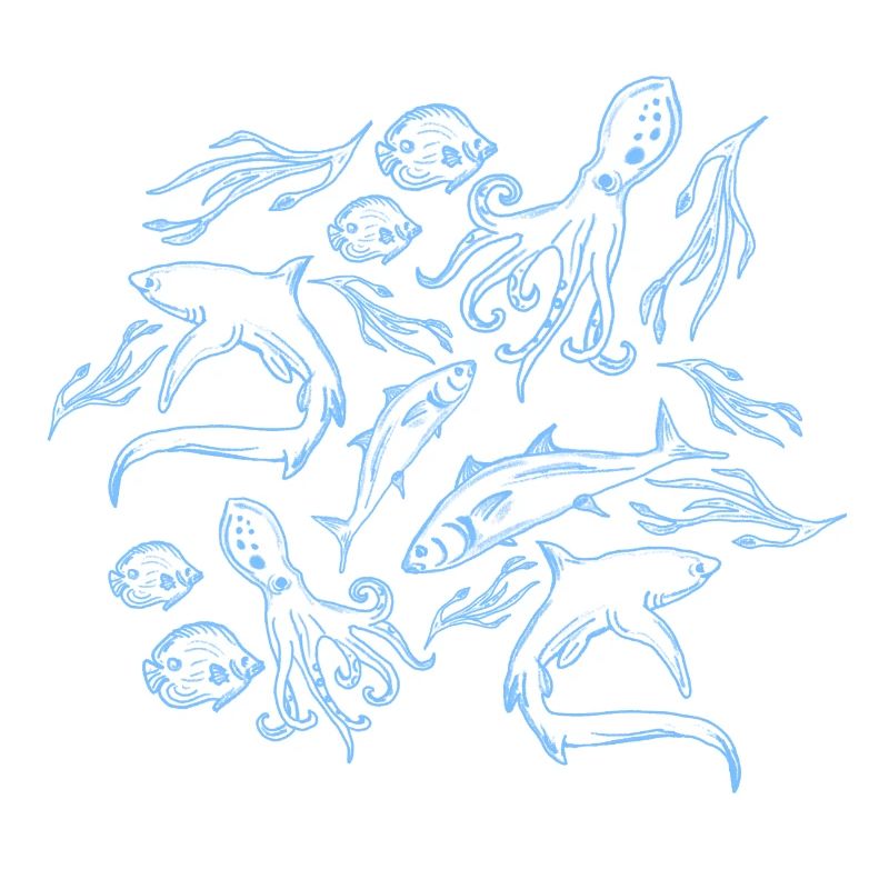 Marine Patterns