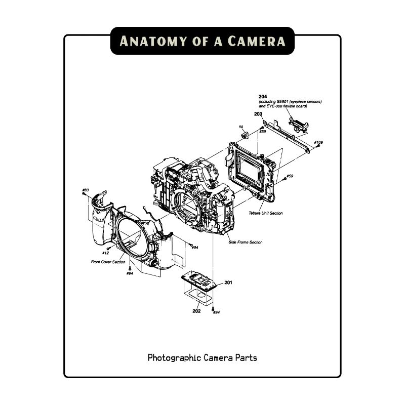 Anatomie der Kamera Silhouette