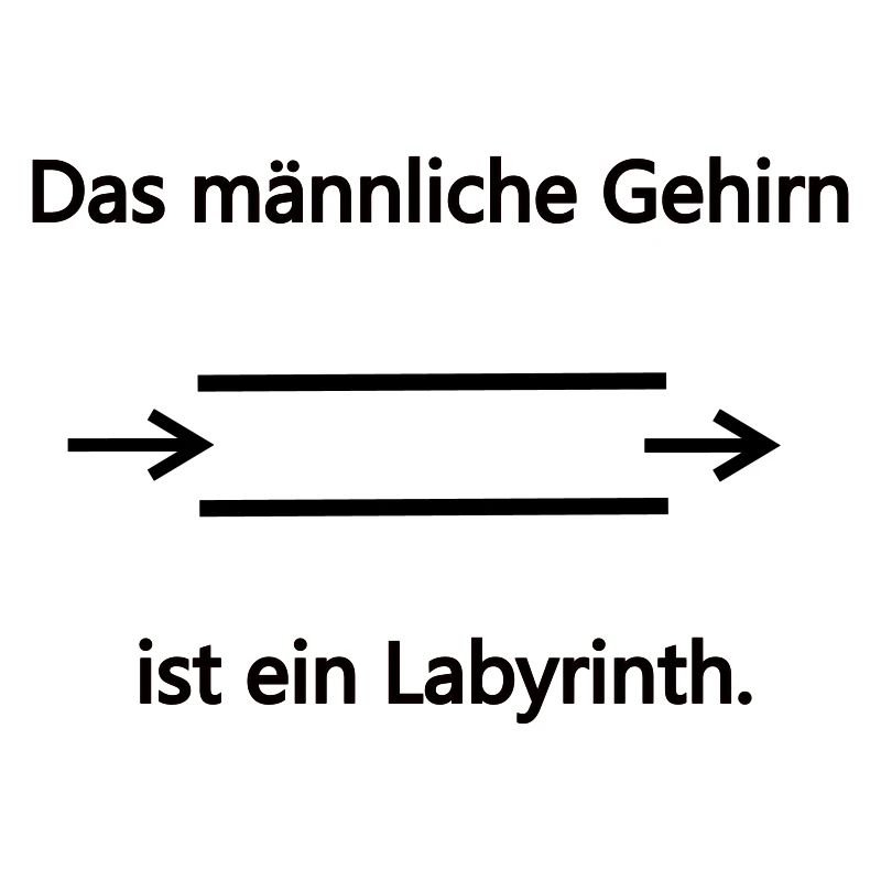 Labyrinth maennlich