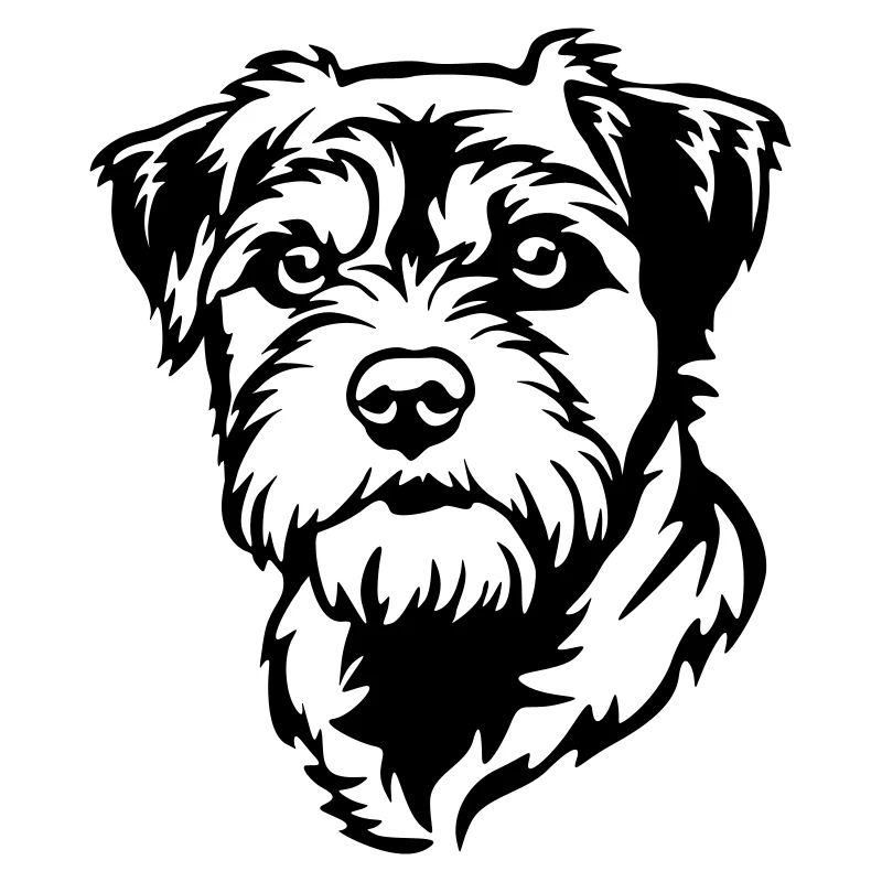 Border Terrier Kopf