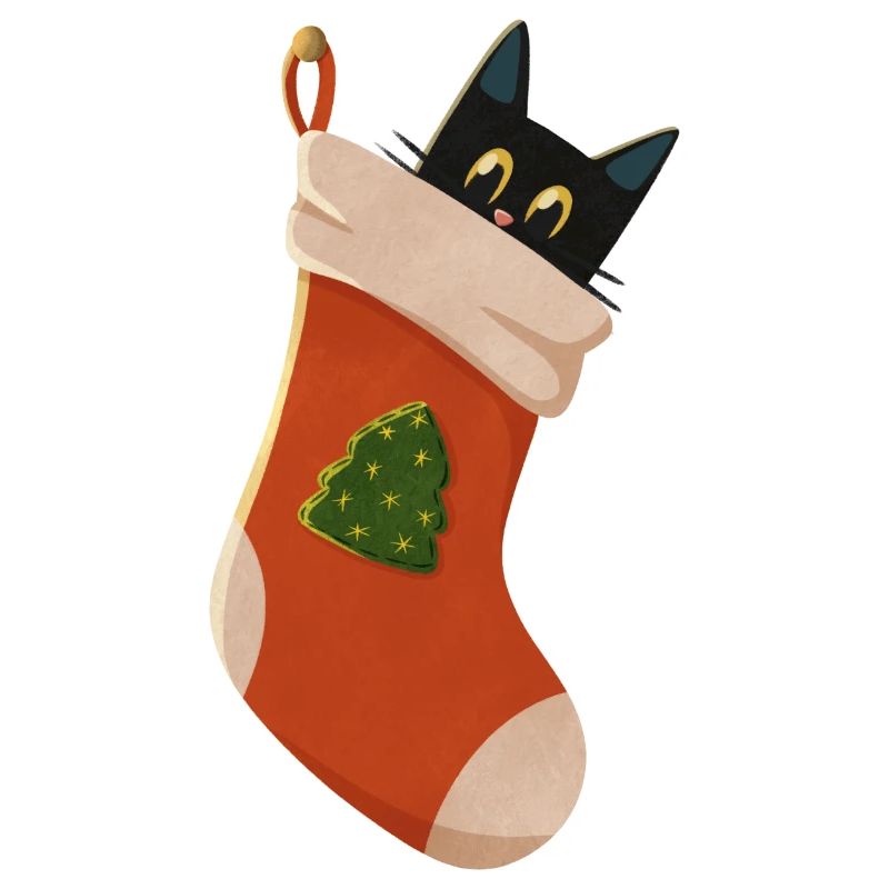 Chat en bottes