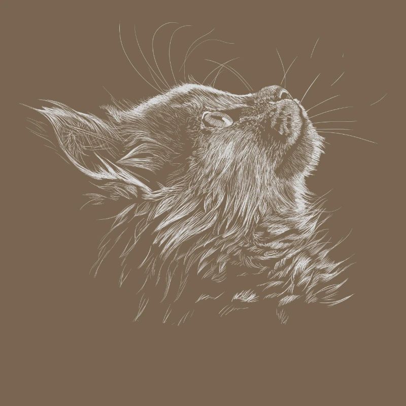 Kitten