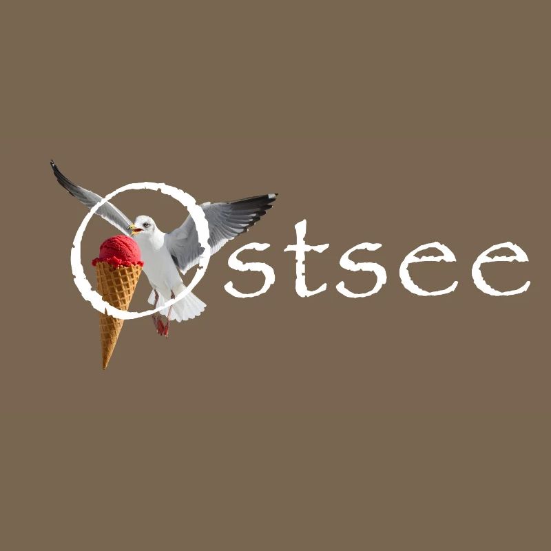 Ostsee Möwe Eisräuber Raubvogel