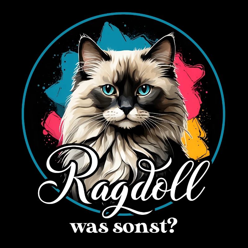Ragdoll  Katze