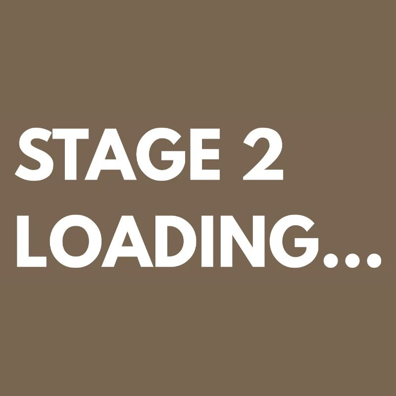Stage 2 Loading – Performance Car Shirt
