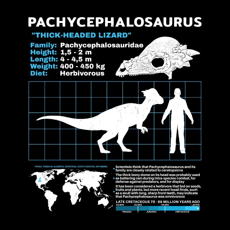 Pachycephalosaurus Fact Sheet