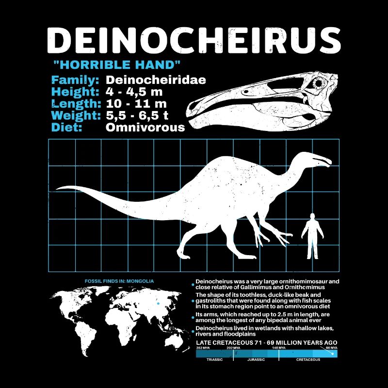 Fiche d’information de Deinocheirus