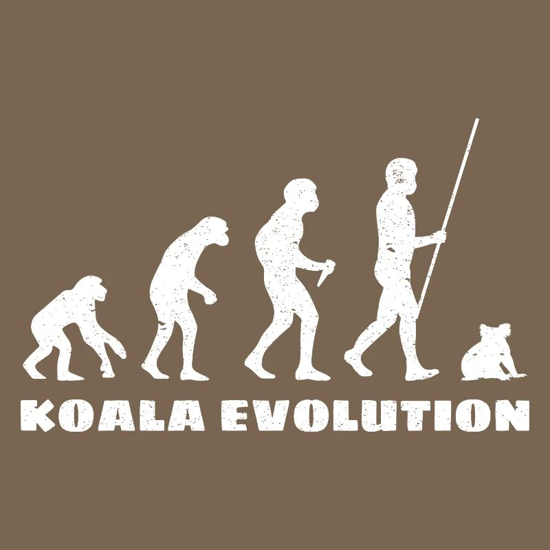 Évolution du koala