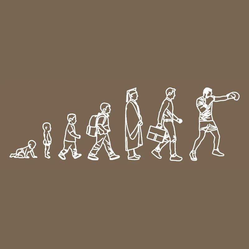Évolution du Boxer