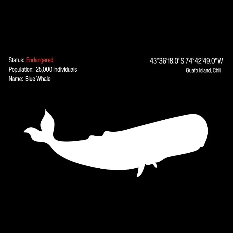 Whale