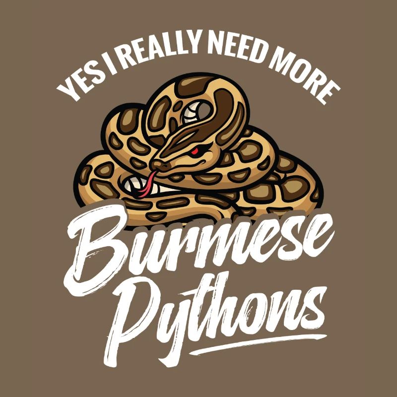 Python amoureux Serpent Maman Terrarium Papa reptile