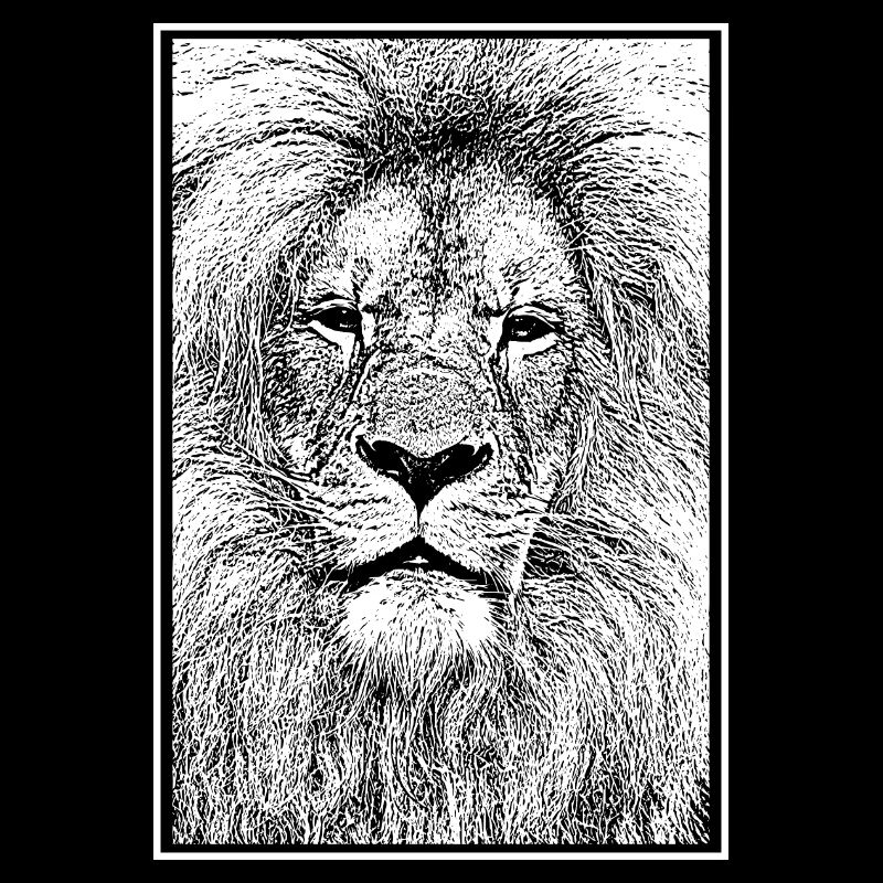 Magnificent lion