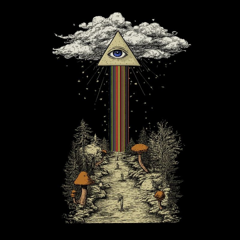 Rayon arc-en-ciel mystique dans la forêt de champignons