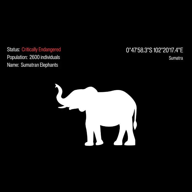 Éléphant