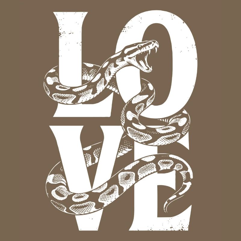 Königspython Schlangen LOVE Terrarium Python