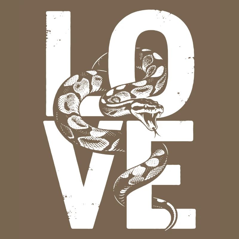 Königspython Schlangen LOVE Terrarium Python