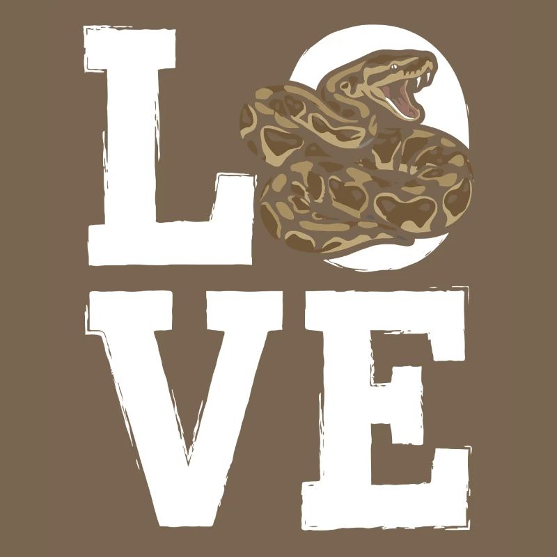 Königspython Schlangen LOVE Terrarium Python