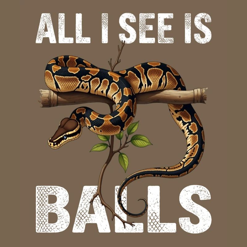 Königspython Schlangen Liebhaber Terrarium Python