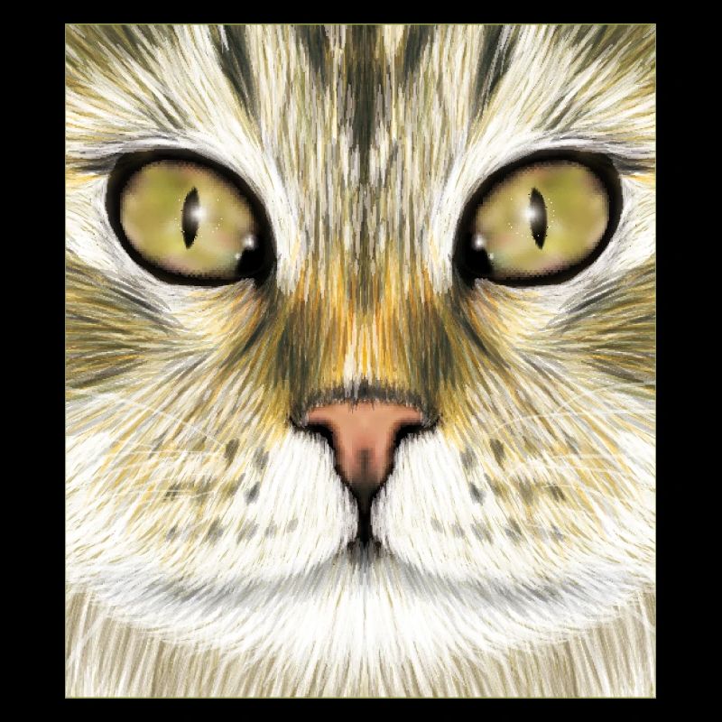 Norwegian Forest Cat