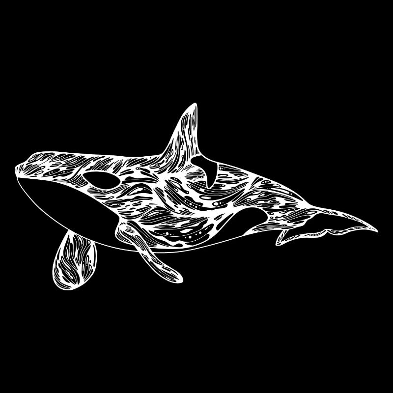 killer whale