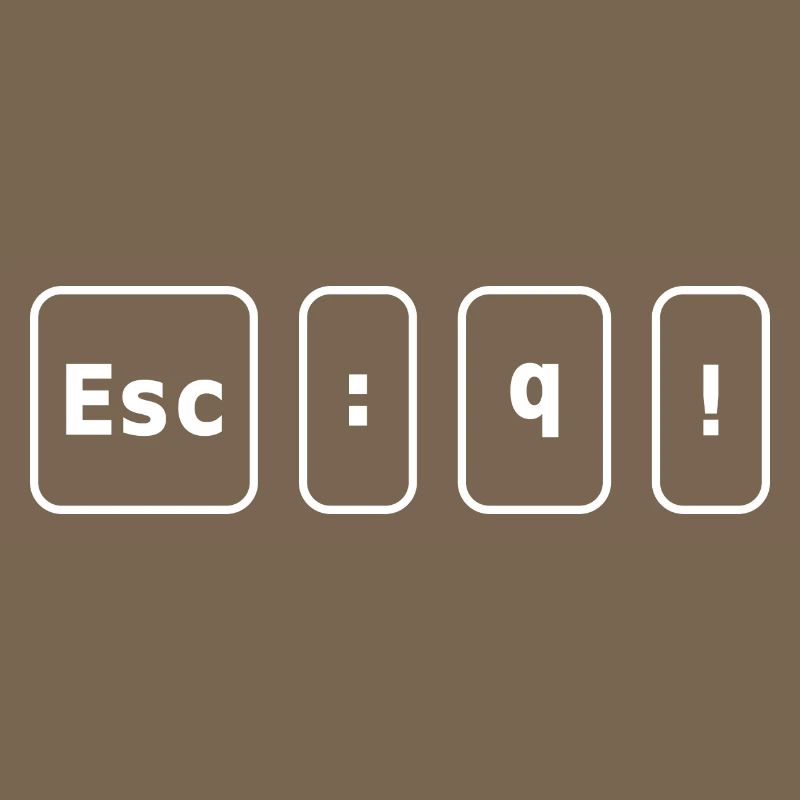Code d’échappement Vim