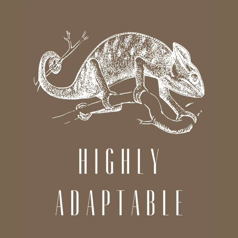 Highly Adaptable Chameleon Growth Mindset