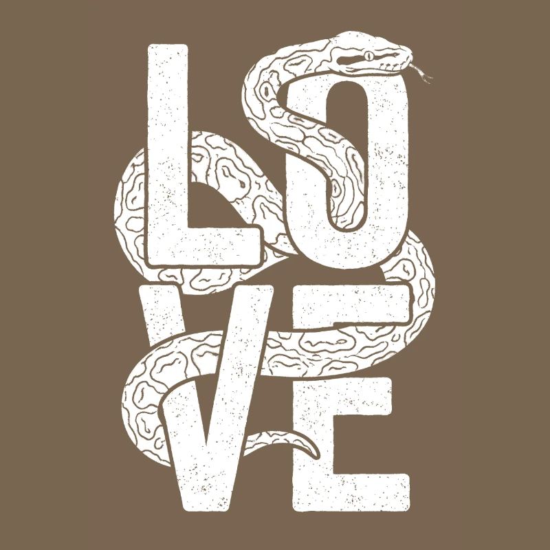 Königspython Schlangen LOVE Terrarium Python