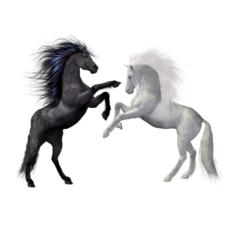 Dancing Horses in Dark and Light