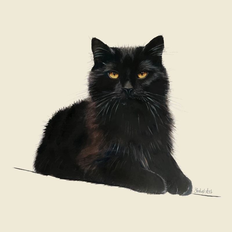Chat