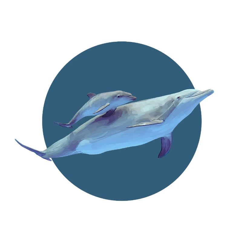 Delfin