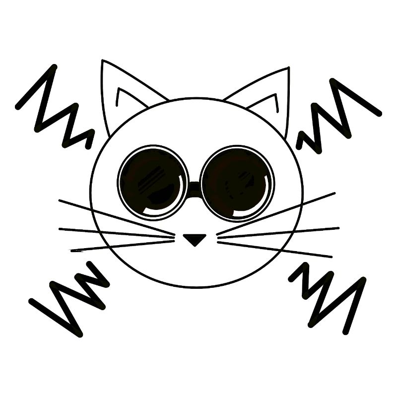 Chat de l’espace