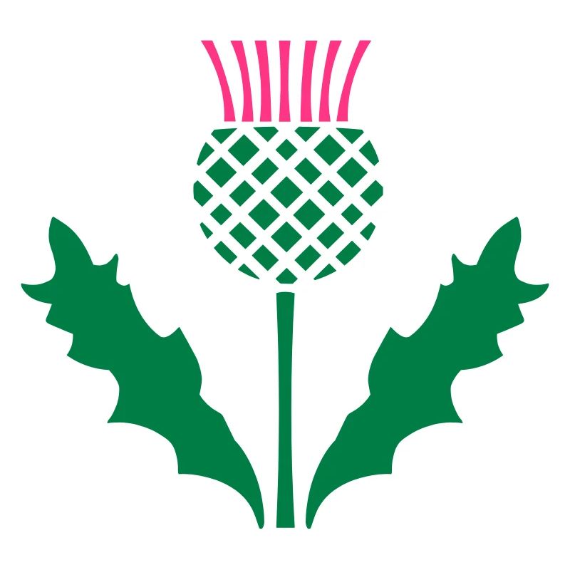 Scottish Thistle