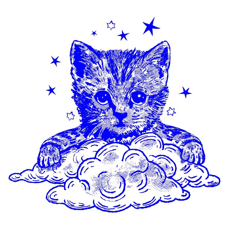 Blue cat on clouds