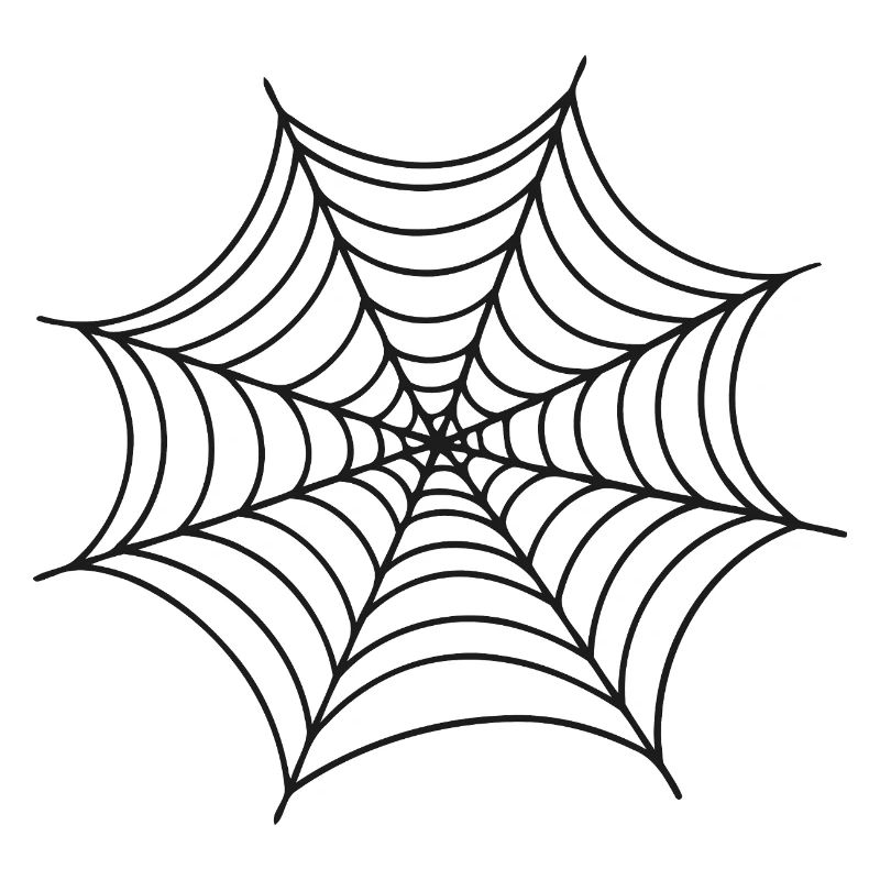 Black Minimalist Spider Web