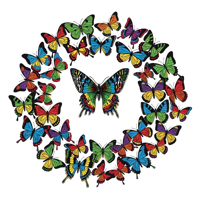 Rainbow Butterfly Circle