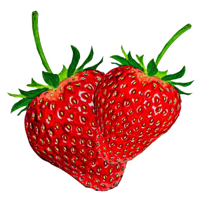 Erdbeeren