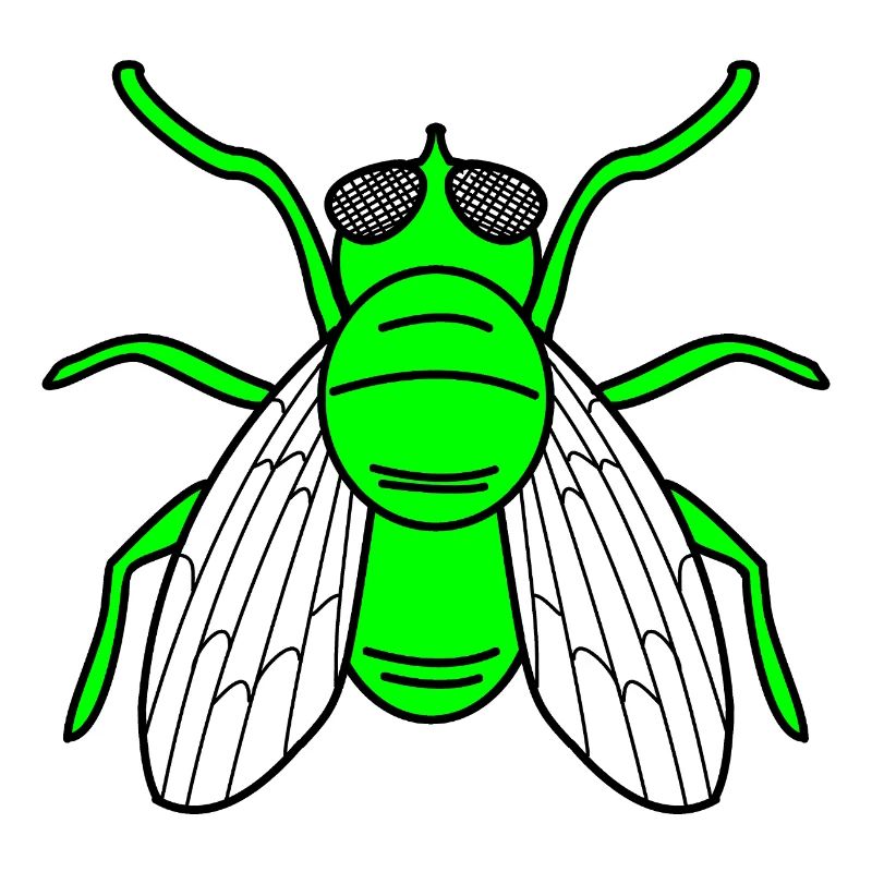 Mouche