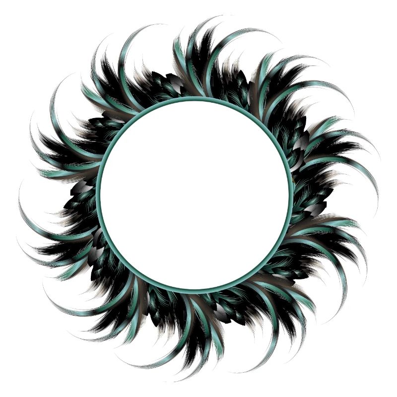 round frame made of drawn feathers