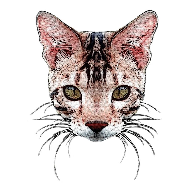 bengal katze, besitzer, verschenken