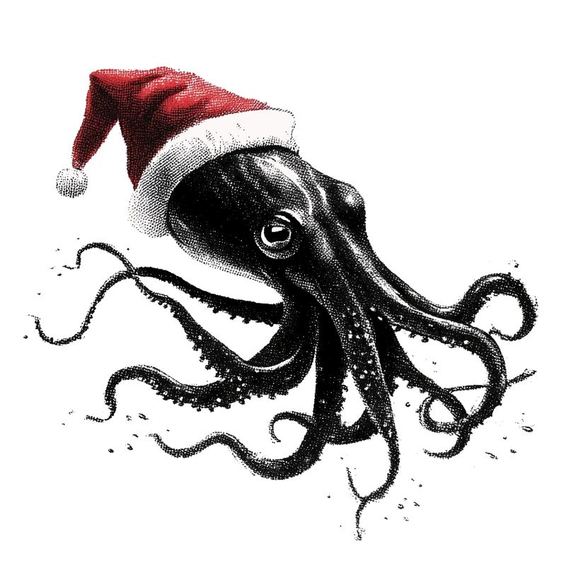 Weihnachtskrake mit Weihnachtsmütze