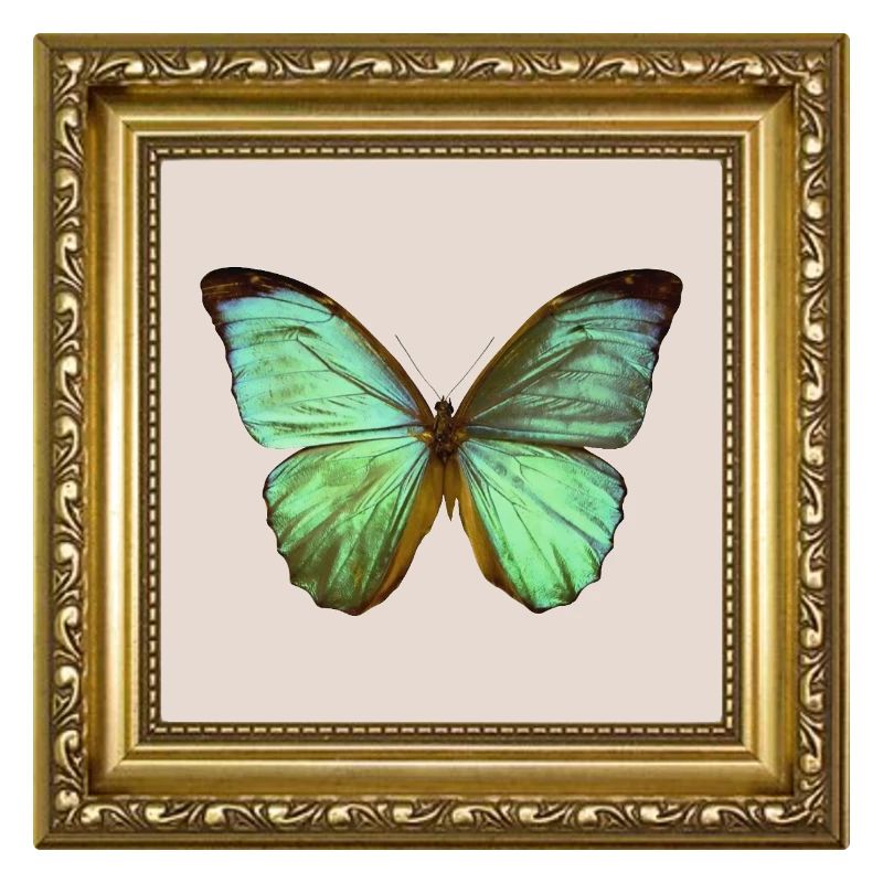 Emerald Butterfly in Gold Frame