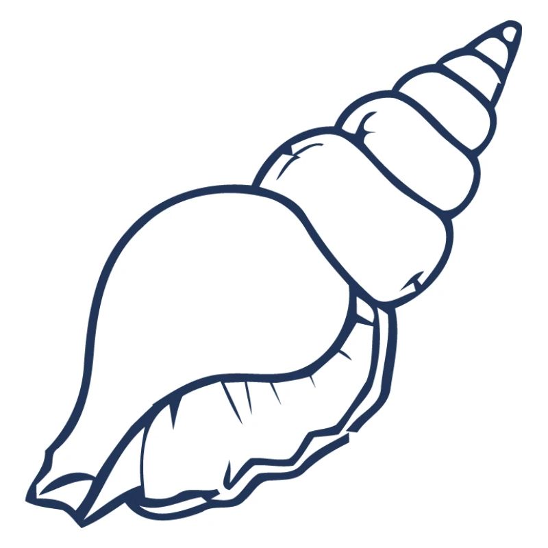 Esthétique Seashell Minimal Ocean Beach Design