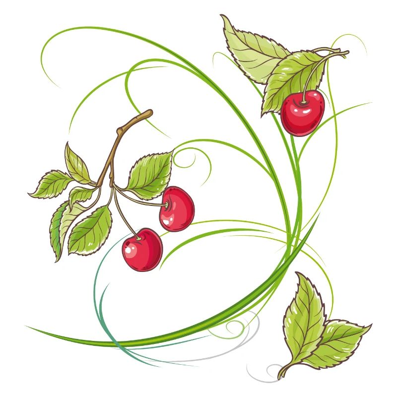 Kirschen,Obst