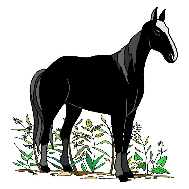 Pferd
