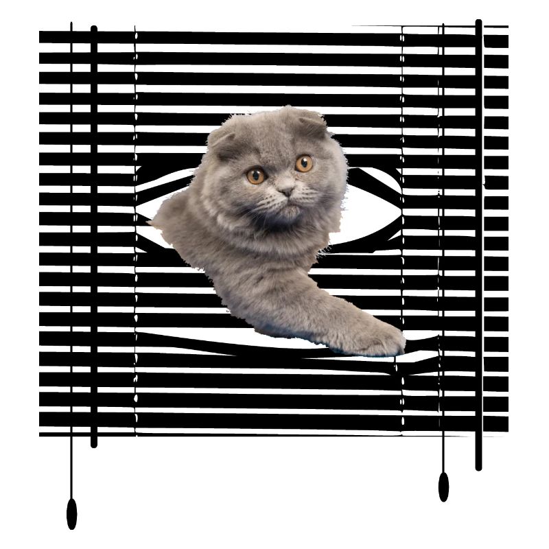 Mon chat s'évade