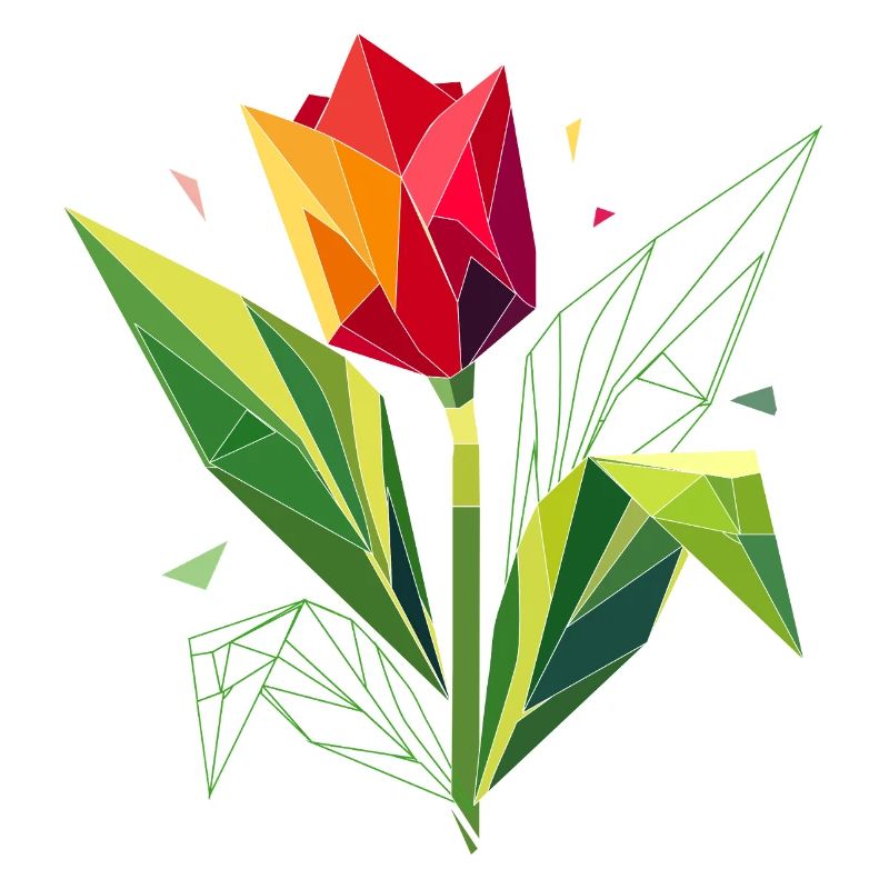 Geometric tulip – elegance in polygons