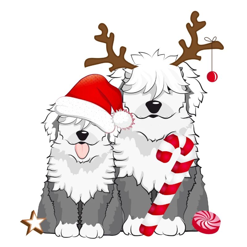 deux mignons chiens bobtail célèbrent Noël