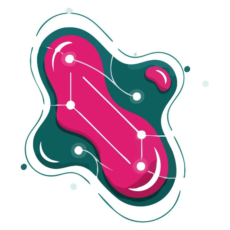 Constellation Rose Éclatante